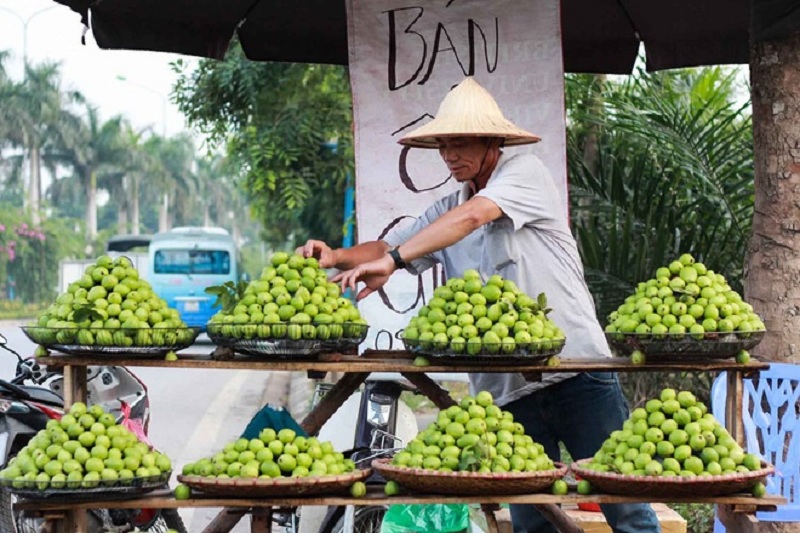 Những xe ổi Đông Dư óng ánh tỏa mùi thơm khắp phố phường