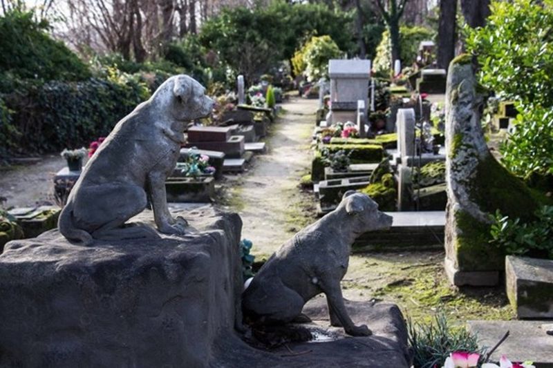 10 điều thú vị về nước Pháp