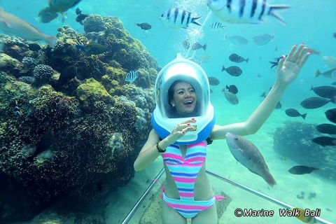 Du lịch Bali thám hiểm dưới nước