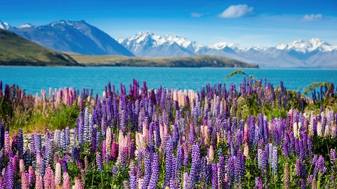 New Zealand - quốc gia an toàn nhất thế giới để đi du lịch