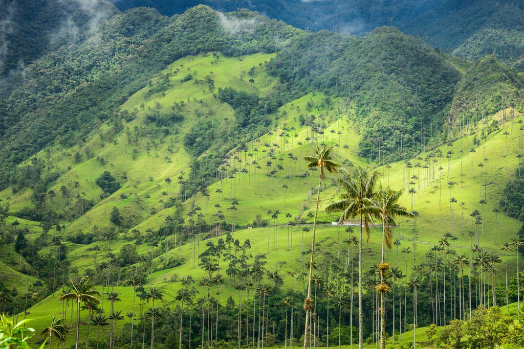  25 địa điểm siêu thực ở Colombia cho những ai yêu thiên nhiên