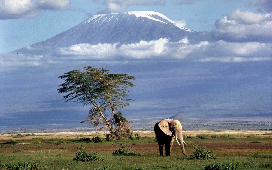 Ngọn núi Kilimanjaro, Tanzania
