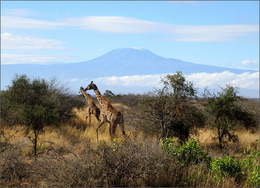 Đến châu Phi khám phá thiên đường hoang dã Kenya