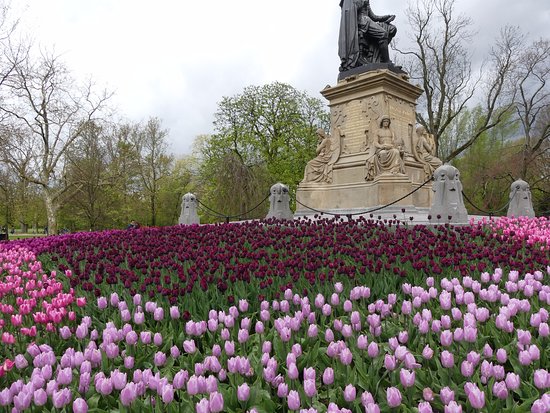 Hoa trong công viên Vondelpark