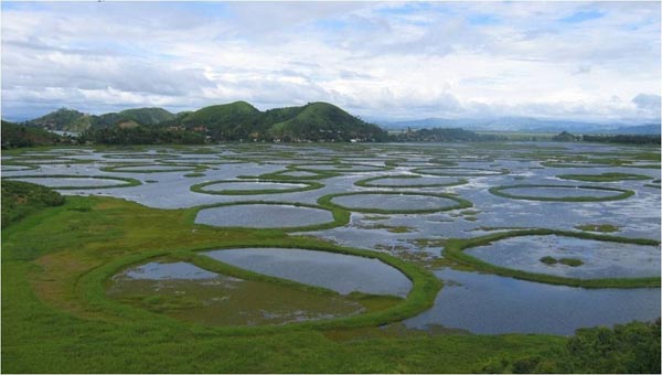 an tuong go noi ngoan ngheo nhu me cung o An Do