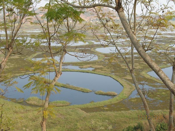 an tuong go noi ngoan ngheo nhu me cung o An Do