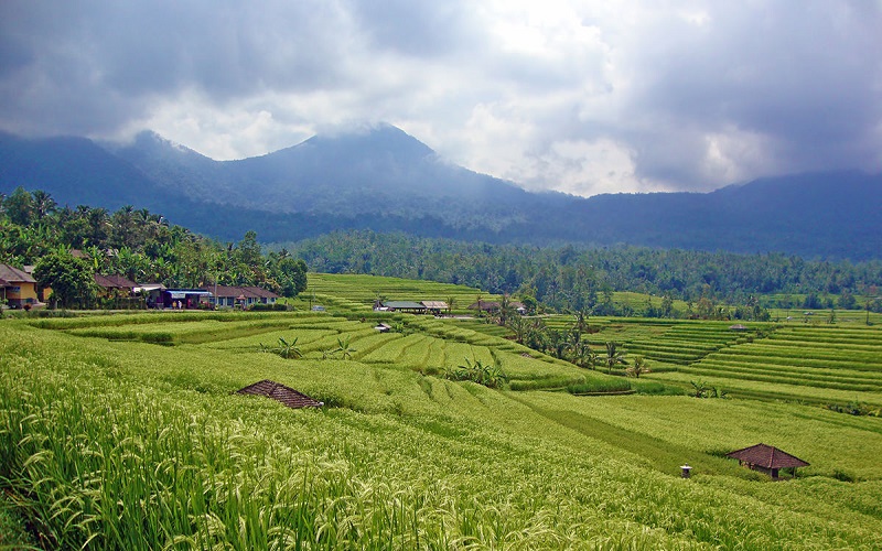 Bạn có biết, du lịch Bali nổi tiếng vì điều gì?