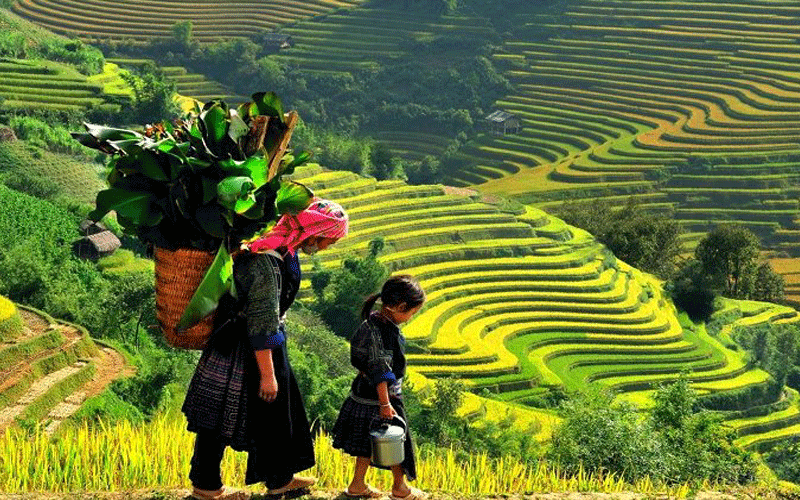 Bản Thái - thung lũng bình yên