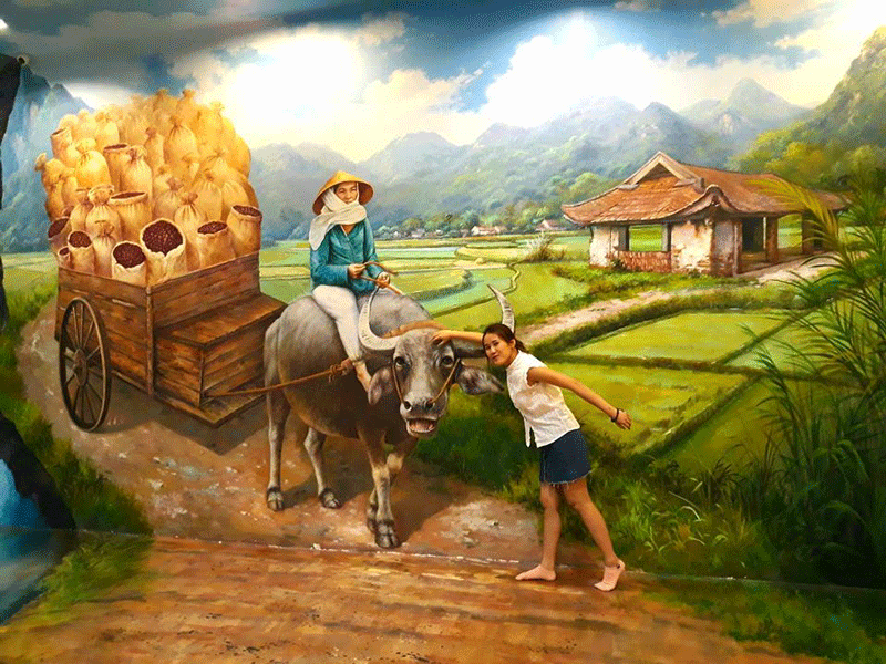 Bức tranh về phong cảnh thiên nhiên hùng vĩ của Việt Nam