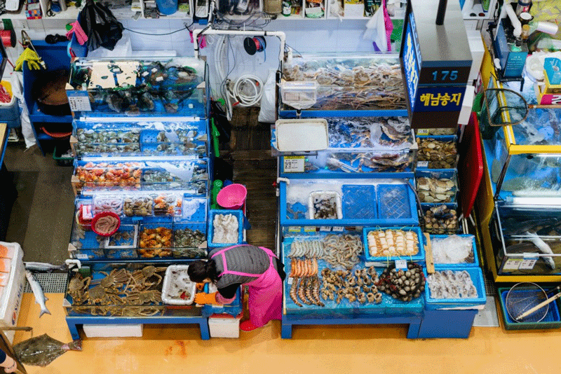 Chợ Noryangjin được xem là khu chợ hải sản lớn nhất Seoul