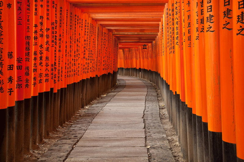 Con đường dài 4m với những chiếc cổng đỏ Torii