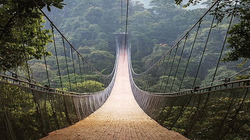 Bạn biết cầu treo lớn nhất Đông Nam Á ở đâu chưa?