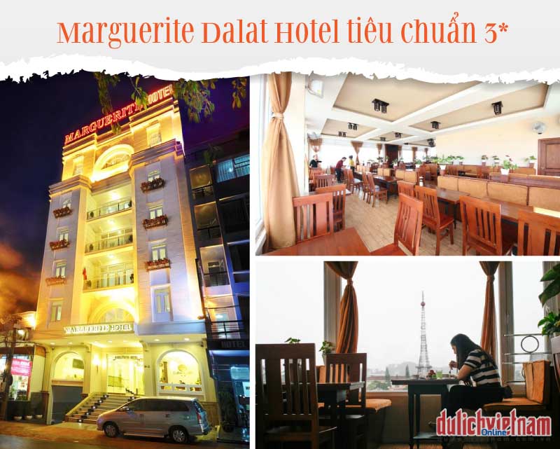 Vui chơi, tận hưởng 3N2Đ ở Marguerite Dalat Hotel 3* giá chỉ từ 1.310.000 VNĐ