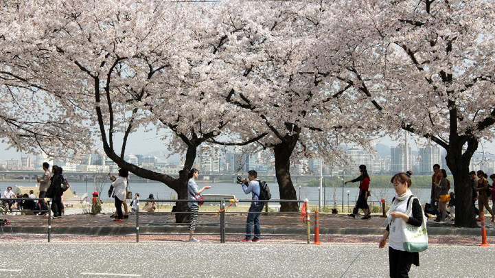 Andong Seoul khu pho co du lich noi tieng cua Han Quoc