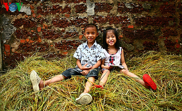 M&ugrave;a gặt v&agrave;ng &oacute;ng ở l&agrave;ng cổ Đường L&acirc;m