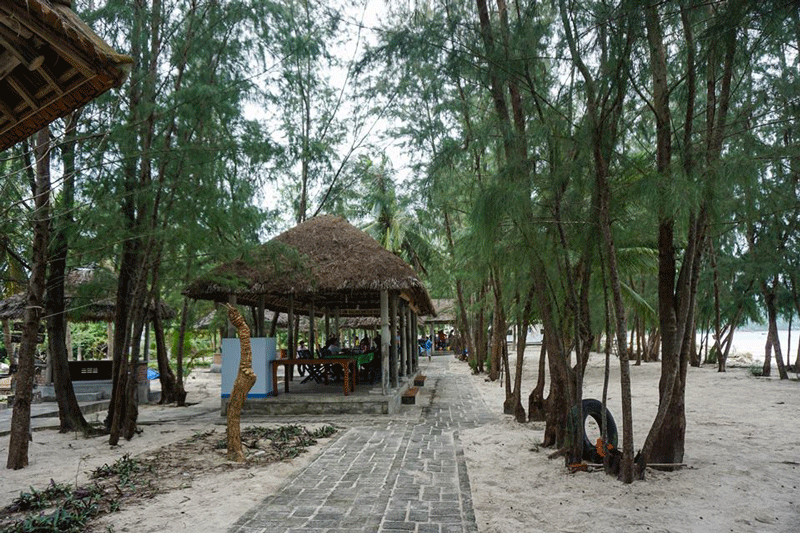 Hàng cây dương, cây dừa trải dài trên bờ biển