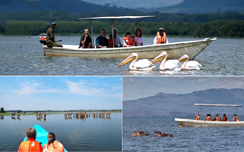 Hồ Naivasha là khu bảo tồn nổi tiếng nhất đất nước Đông Phi
