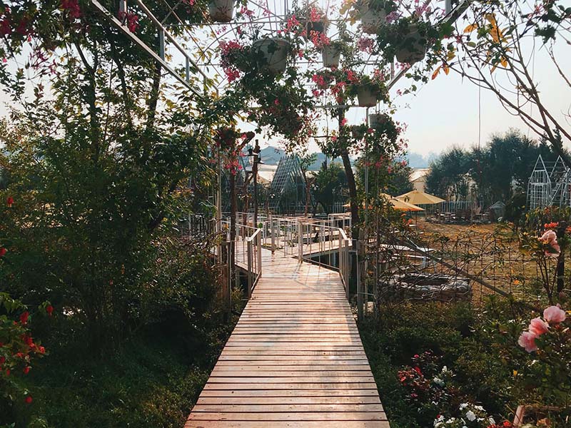 INThePines Dalat - khu vườn Châu Âu "xịn" nhất thành phố ngàn hoa