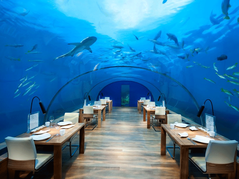 Không gian đại dương xanh ở nhà hàng dưới đáy biển Ithaa 