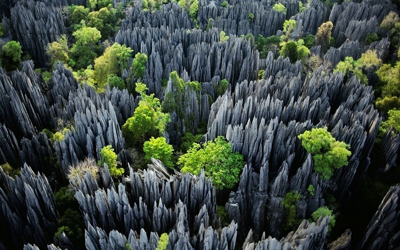 Khám phá rừng đá vôi sắc như dao cạo ở Madagascar