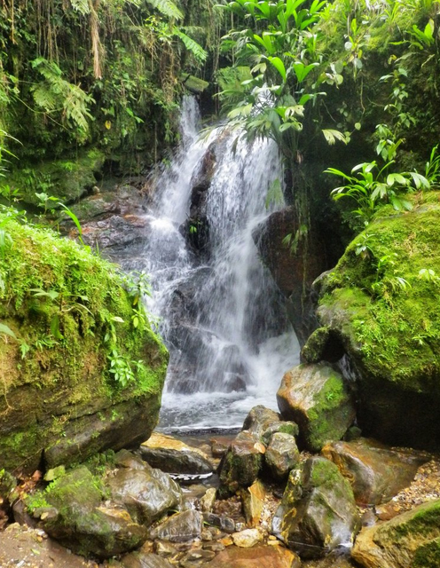  Khám phá thành phố cổ bị mất tích ở Colombia