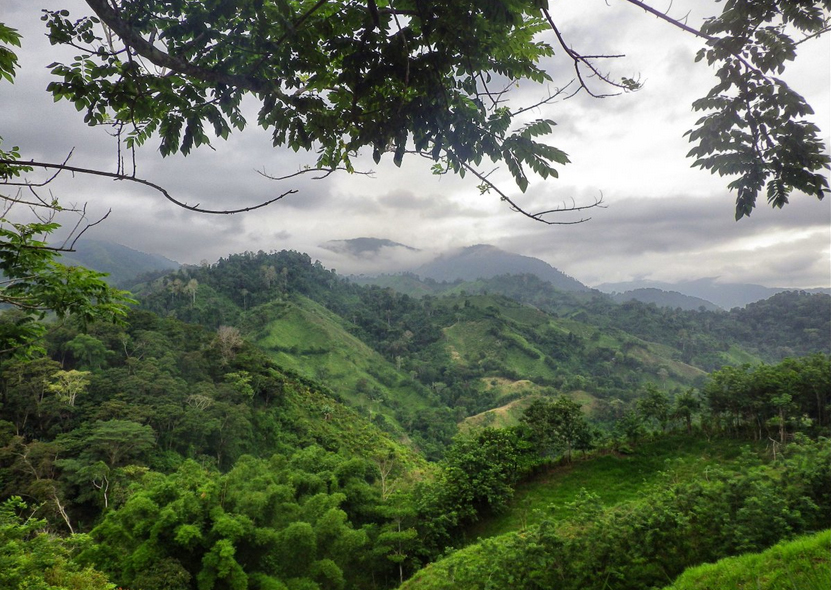  Khám phá thành phố cổ bị mất tích ở Colombia