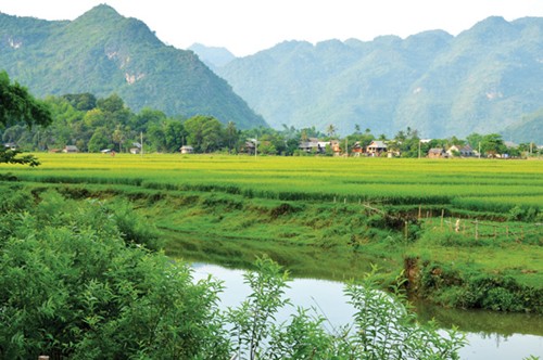Những điểm trekking ngoạn mục ở Việt Nam