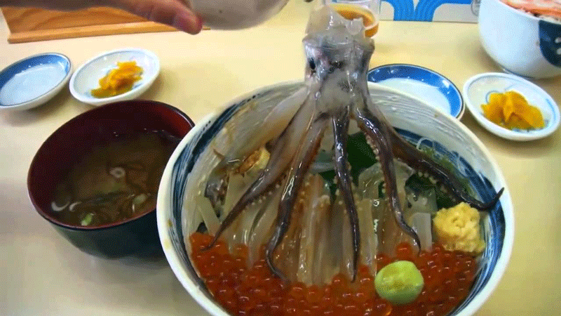 Món bạch tuộc sống 