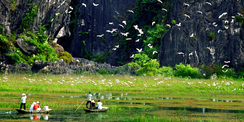Chiêm ngưỡng khung cảnh tuyệt diệu ở vườn chim Thung Nham