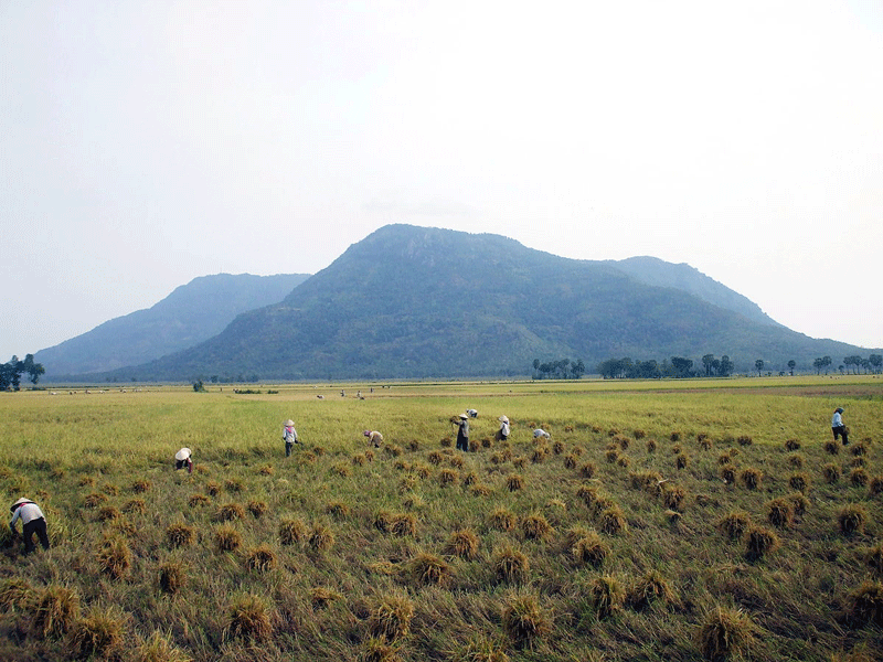 Núi Cấm là ngọn núi cao nhất vùng đồng bằng sông Cửu Long
