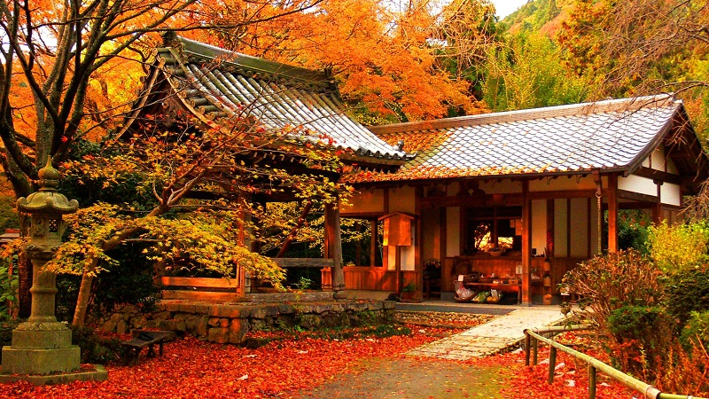 Osaka vào mùa thu và nhận xét rằng đây là mùa đẹp nhất trong năm ở xứ sở Phù Tang  