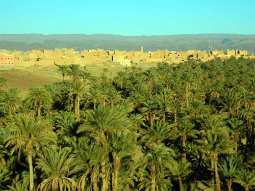 Ouarzazate8