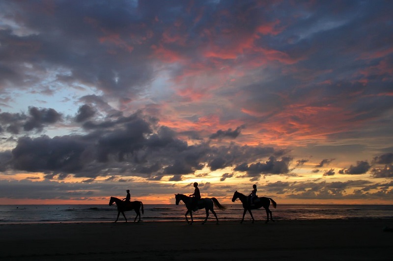 Cưỡi ngựa ở Tuaran's Pantai Dalit 