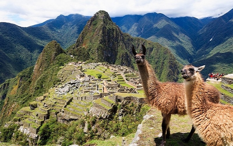 Machu Picchu gặp nguy hiểm bởi dự án xây dựng sân bay