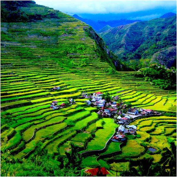 Kỳ quan thứ 8 Thế giới: Ruộng bậc thang Philippines