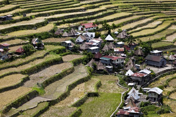 Kỳ quan thứ 8 Thế giới: Ruộng bậc thang Philippines