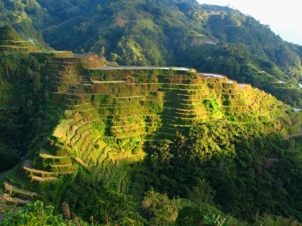 Kỳ quan thứ 8 Thế giới: Ruộng bậc thang Philippines