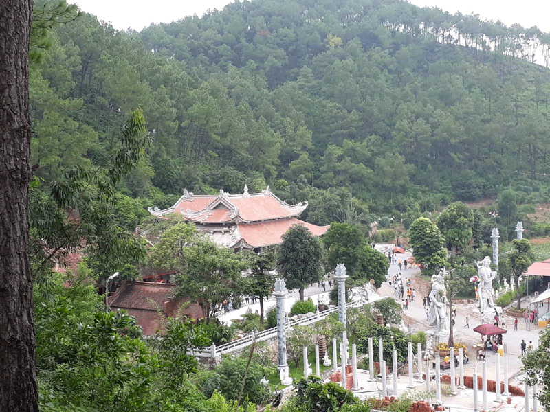 Quần thể ngôi chùa nằm giữa rừng thông xanh mướt, khoáng đạt