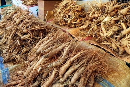 Dạo quanh Seoul thưởng thức văn h&oacute;a xứ củ s&acirc;m