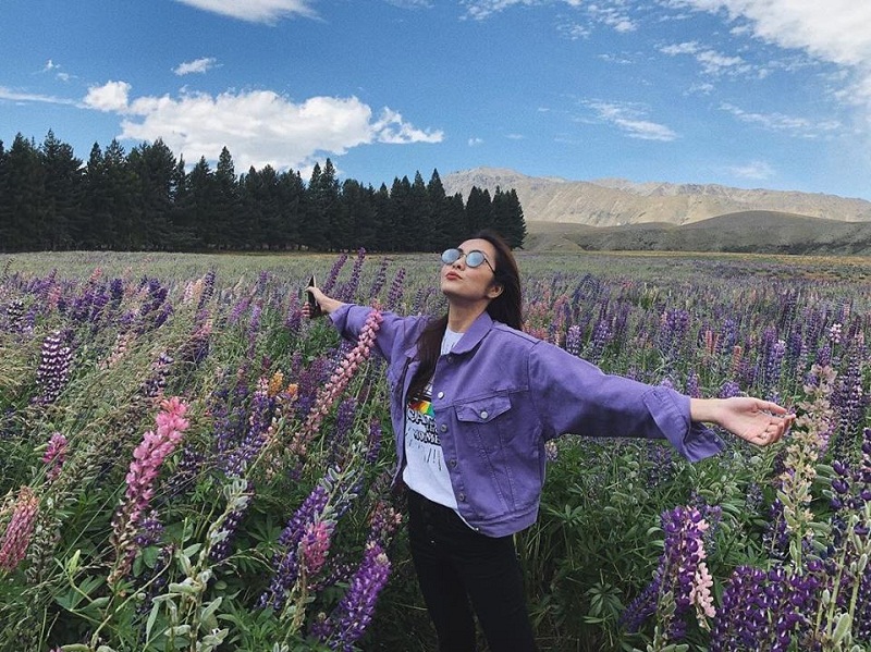 Hà Tăng khoe sắc giữa cánh đồng hoa Lupin rực rỡ của New Zealand