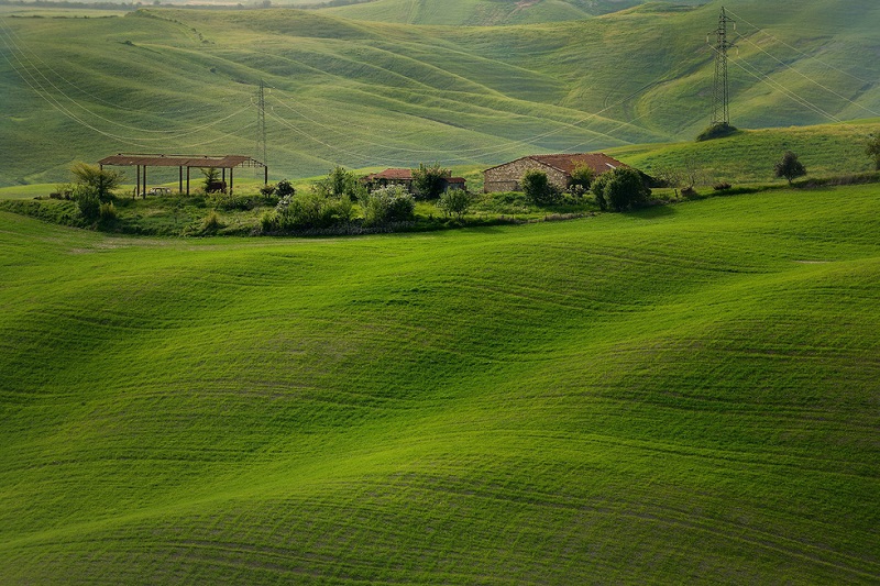 Buổi sáng trên những ngọn đồi xanh vùng Tuscany Italy