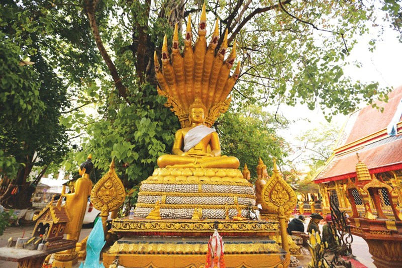 Tượng Phật Thích Ca được đặt uy nghi dưới tán cây bồ đề