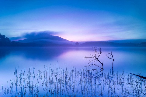 Bình minh sương xanh – Hồ Suối Vàng, Đà Lạt