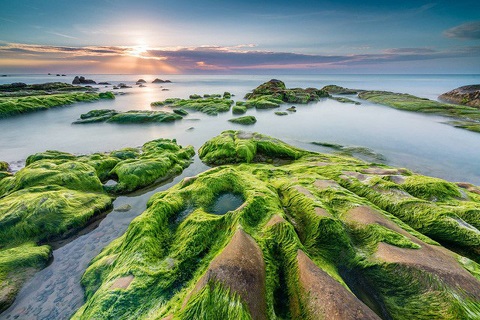Ray hồng trên biển xanh – Cổ Thạch, Bình Thuận