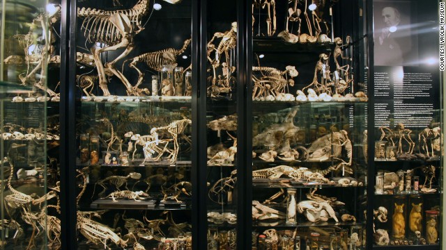 10 viện bảo t&agrave;ng y học kỳ dị nhất tr&ecirc;n thế giới