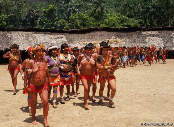bộ tộc Yanomami