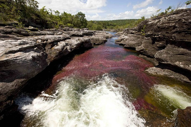 Có 1 dòng sông sắc màu ở Colombia
