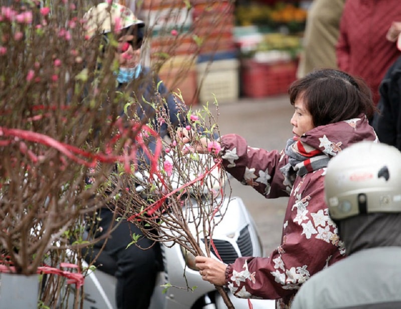 Hoa đào đã nở đỏ rực trên những tuyến phố Hà Nội, Tết đã đến rất gần rồi!