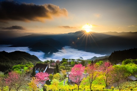 Bức ảnh b&agrave;n tay cụ b&agrave; ở Hội An được National Geographic đ&aacute;nh gi&aacute; cao