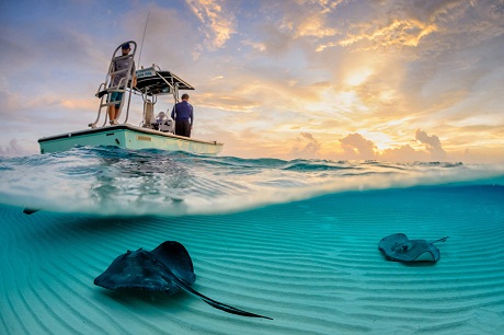 Bức ảnh b&agrave;n tay cụ b&agrave; ở Hội An được National Geographic đ&aacute;nh gi&aacute; cao